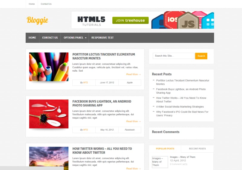 Os melhores temas para WordPress, gratuitos e responsivos para seu site ou blog. 21 bloggie-tema-gratuito-wordpress
